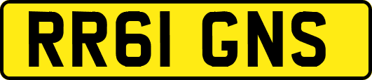 RR61GNS