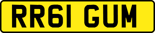RR61GUM