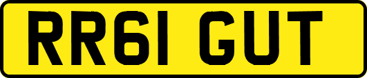 RR61GUT