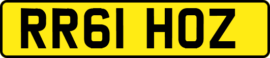 RR61HOZ