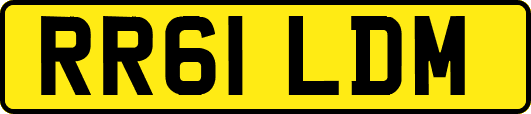 RR61LDM