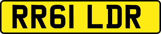 RR61LDR