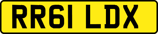 RR61LDX