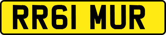 RR61MUR