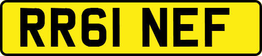 RR61NEF