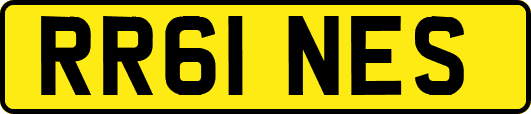 RR61NES