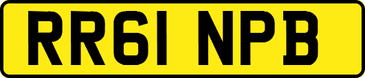RR61NPB