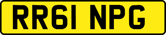 RR61NPG