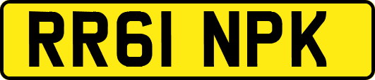RR61NPK