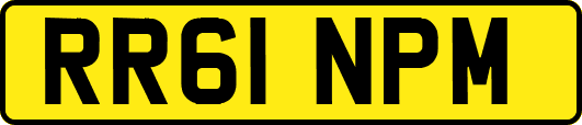 RR61NPM
