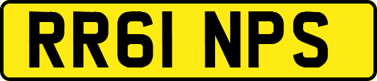 RR61NPS