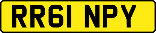 RR61NPY
