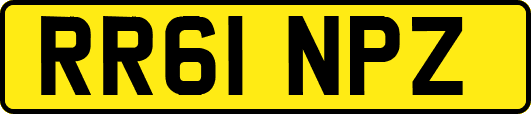 RR61NPZ
