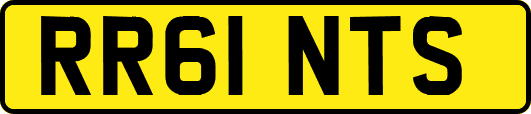 RR61NTS