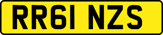 RR61NZS