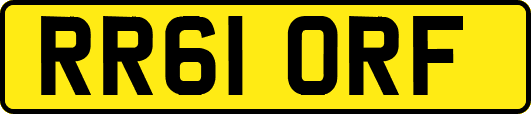 RR61ORF