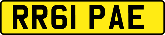 RR61PAE