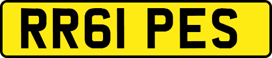 RR61PES