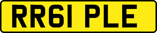 RR61PLE
