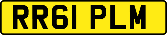 RR61PLM