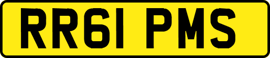 RR61PMS