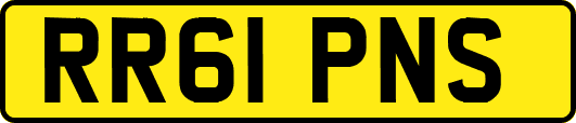 RR61PNS