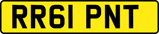 RR61PNT