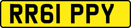 RR61PPY