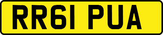 RR61PUA