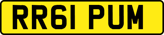 RR61PUM