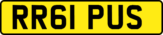 RR61PUS