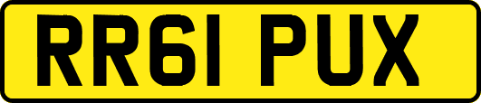 RR61PUX