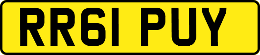RR61PUY