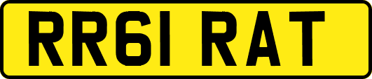 RR61RAT