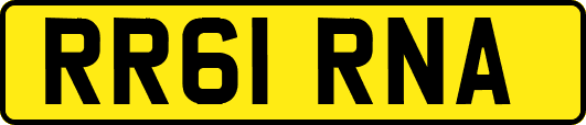 RR61RNA