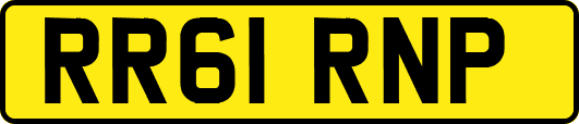 RR61RNP