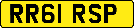 RR61RSP