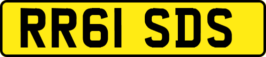 RR61SDS