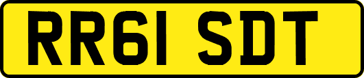 RR61SDT
