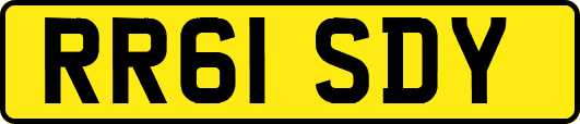 RR61SDY