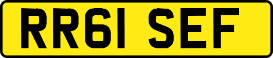 RR61SEF