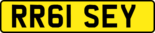 RR61SEY