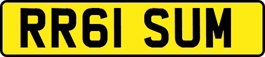 RR61SUM