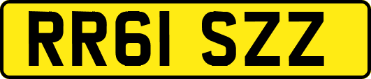 RR61SZZ