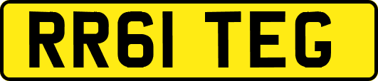 RR61TEG