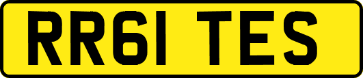 RR61TES