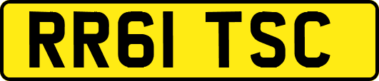 RR61TSC
