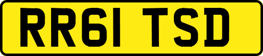 RR61TSD