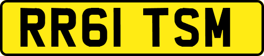RR61TSM