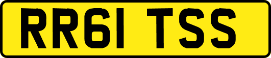 RR61TSS
